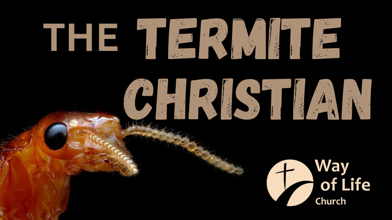 The Termite Christian