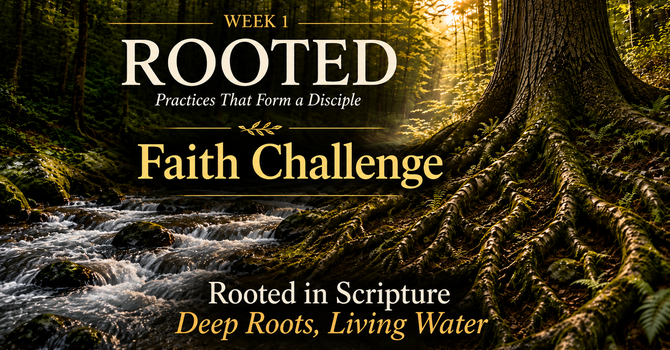 Deep Roots, Living Water image