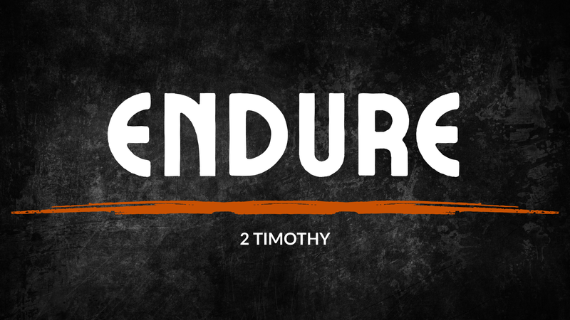 Endure - Part 2