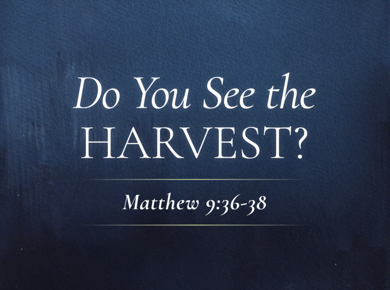 Do You See The Harvest?