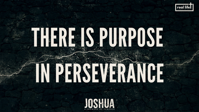 Joshua. Purpose In Perseverance 