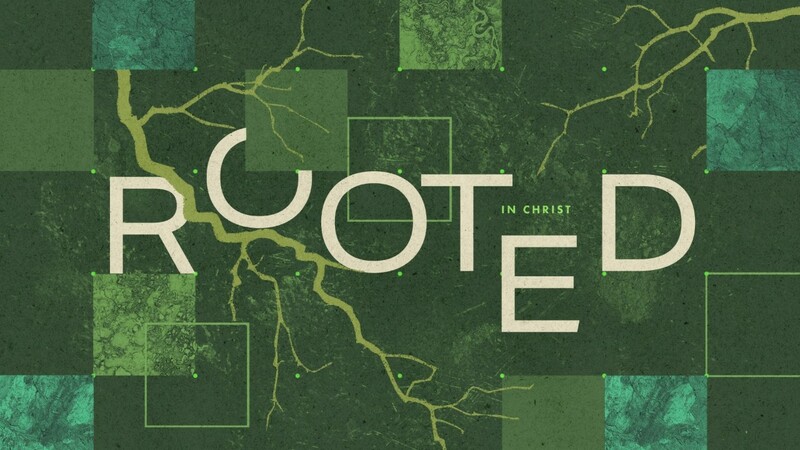 Rooted