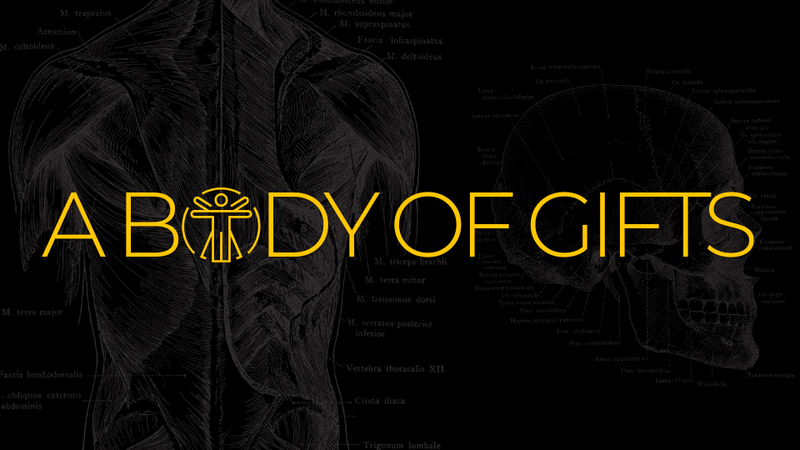 "A Body of Gifts"