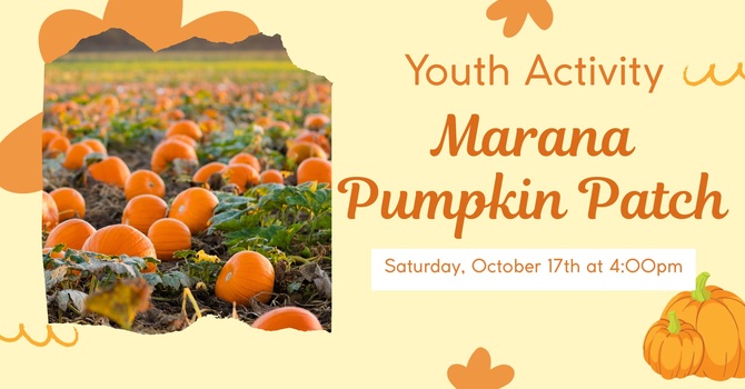 Marana pumpkin patch 