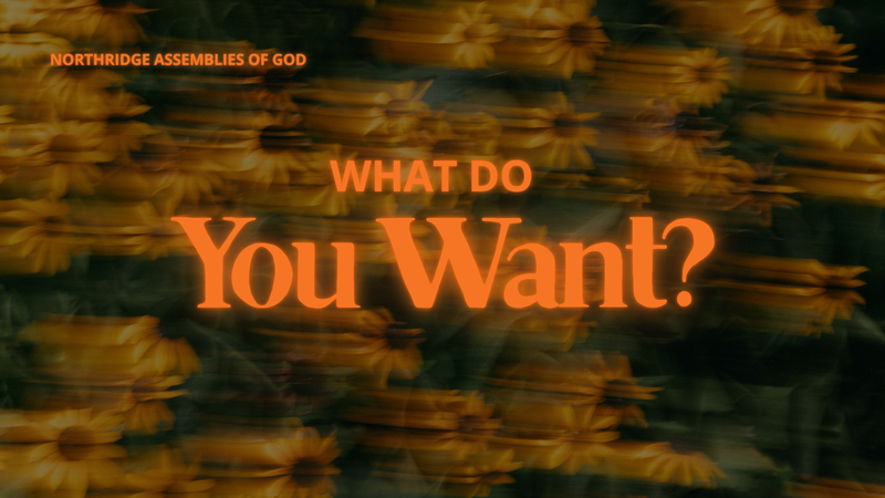 What Do You Want?