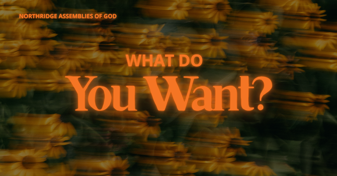 What Do You Want?