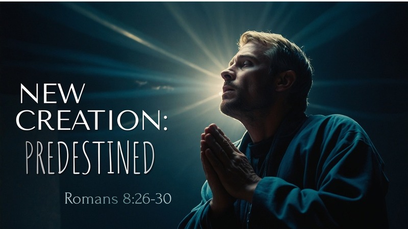 New Creation: Predestined