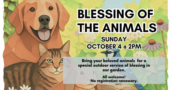 Blessing of the Animals
