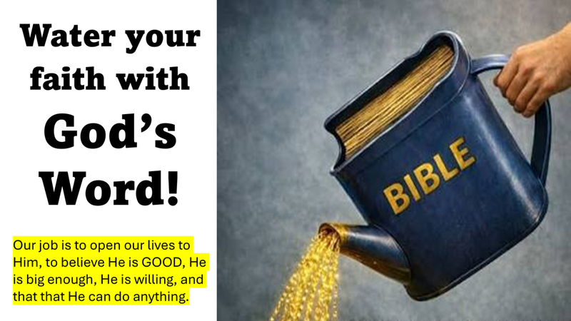 Watering Your Faith