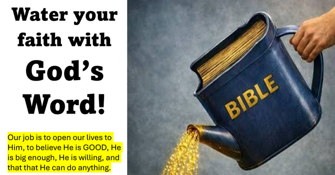 Watering Your Faith