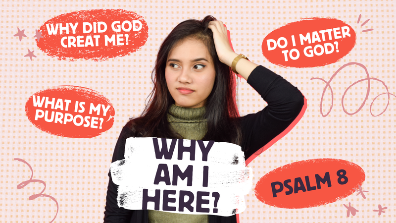 Why Am I Here? Psalm 8