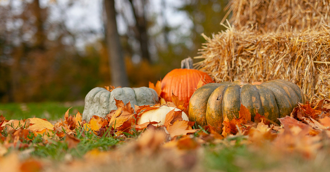The gifts of Thanksgiving and Synod
