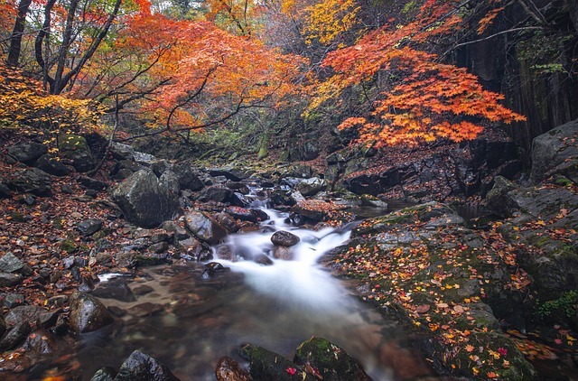 Slideshow image