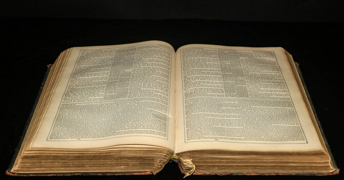 THE FAMILY BIBLE  image
