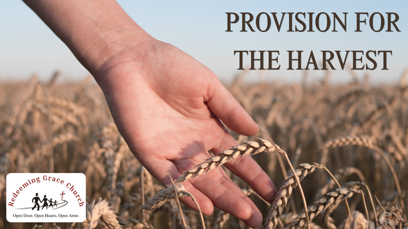 Provision for the Harvest