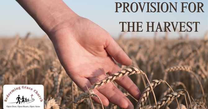 Provision for the Harvest