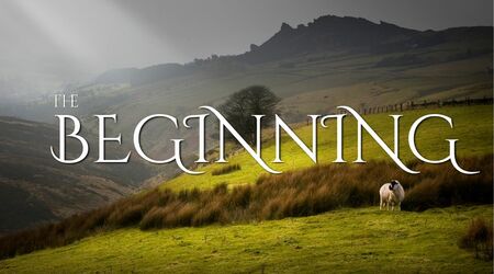 The Beginning