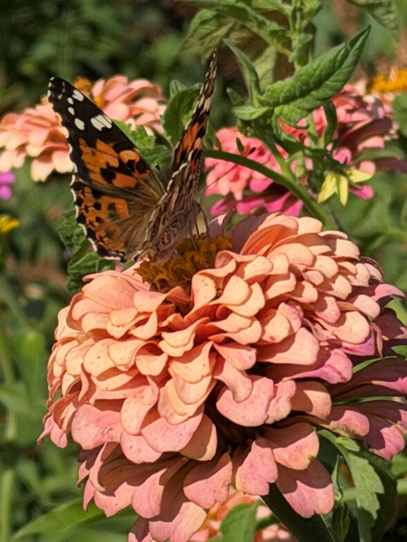 Slideshow image