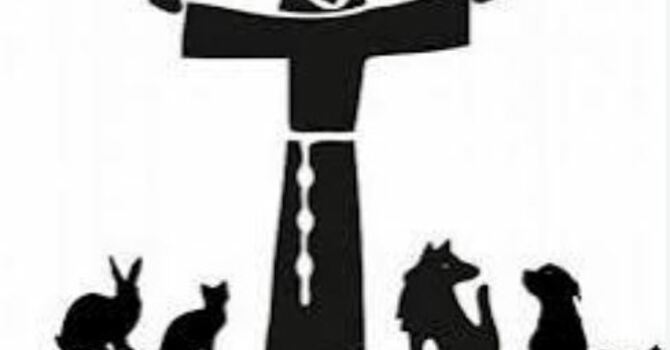 Blessing of the Animals