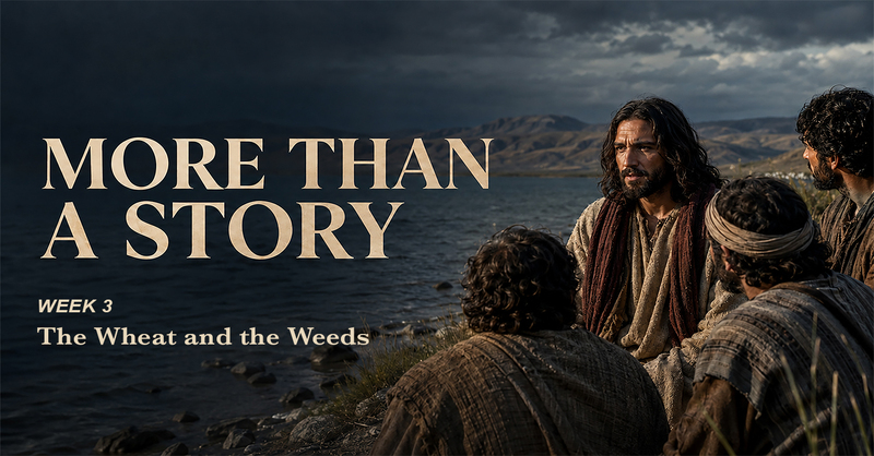 More Than a Story