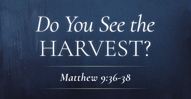 Do You See The Harvest?