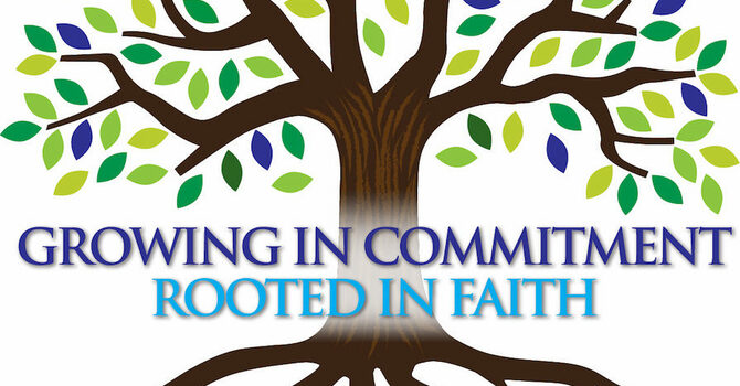 Our Commitment