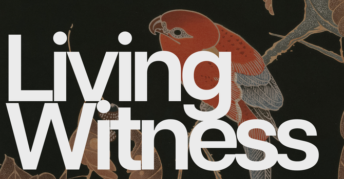 The Living Water Produces A Living Witness