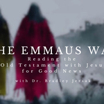nav image