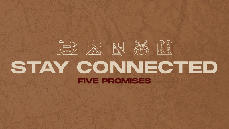 Stay Connected