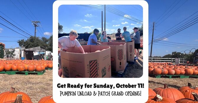 Pumpkin Sunday!