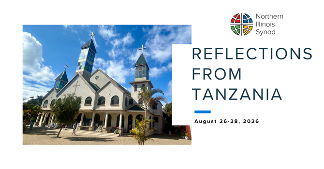 Reflections from Tanzania image