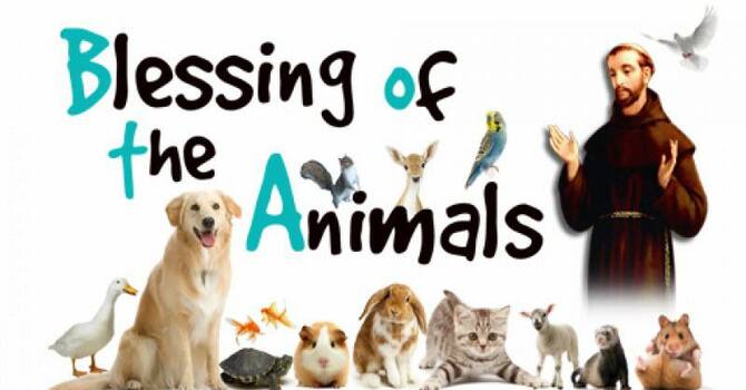 Blessing of the Animals Service