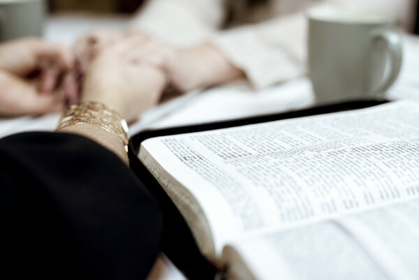 The Women’s Bible Study & Prayer Net