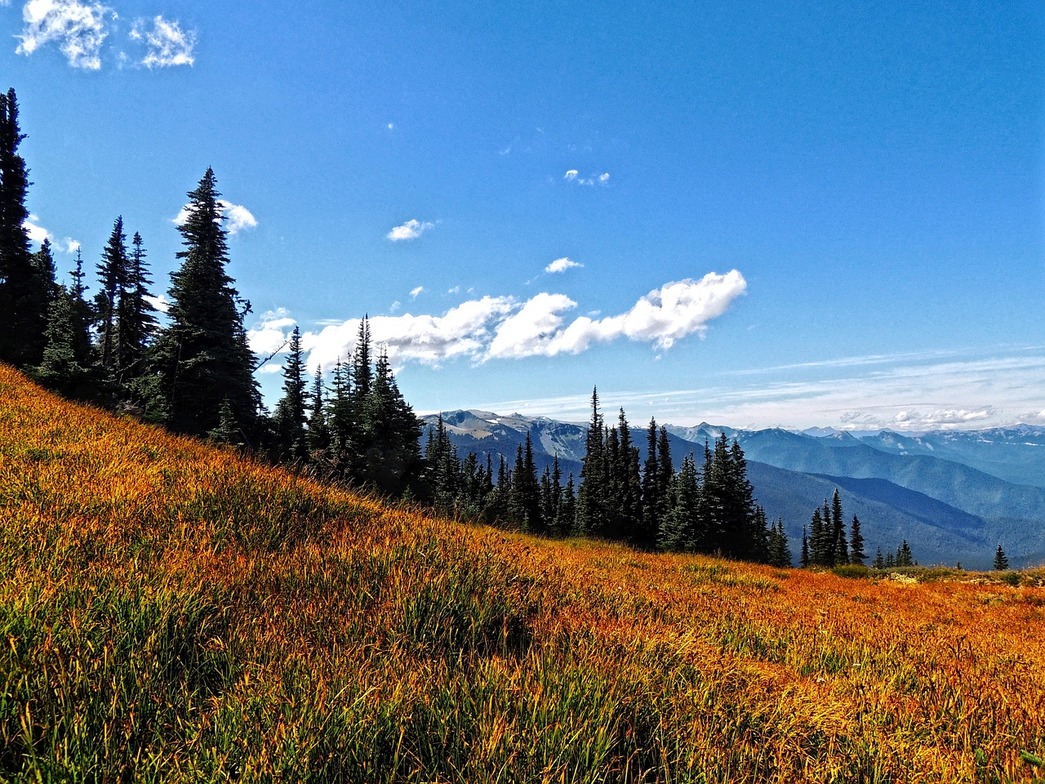 Slideshow image