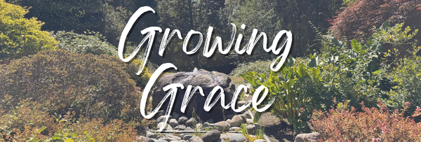 A New Season of Grace