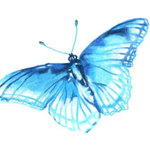 nav image