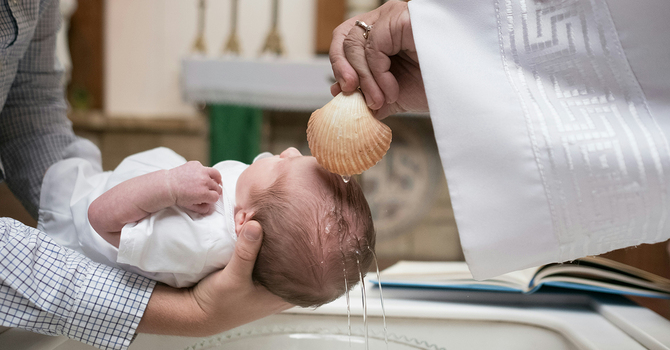 Education for Ministry and our baptismal vows