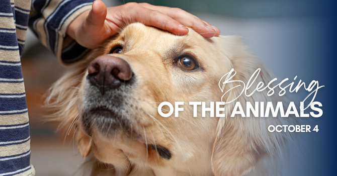 Blessing of the Animals