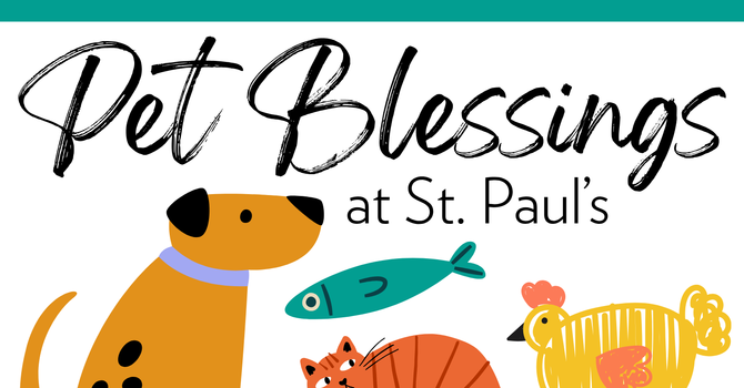 Pet Blessing for St. Francis Day