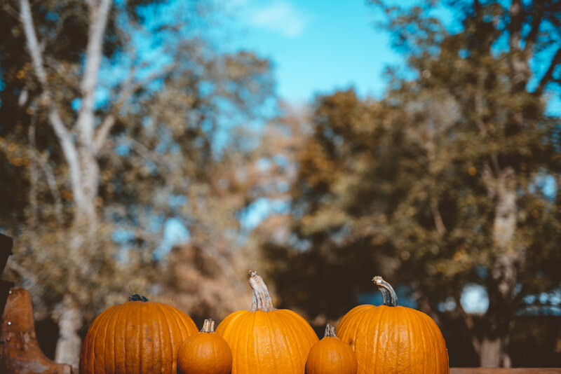 THE HARVEST – EVERYWHERE