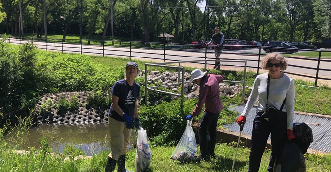 Stream Clean-up Day