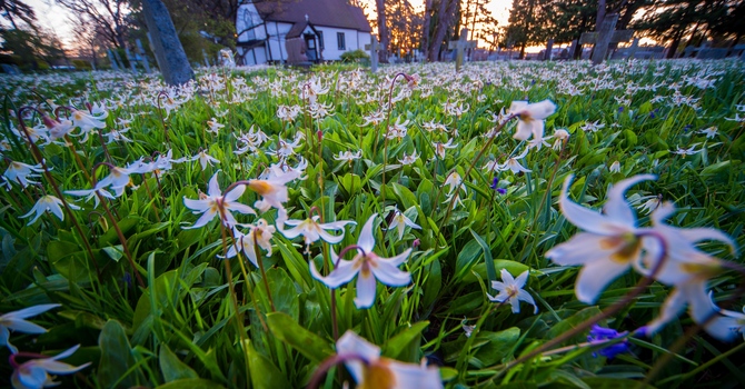 St. Mary’s Historical Society of Metchosin