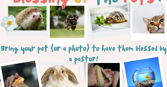 Blessing of the Pets