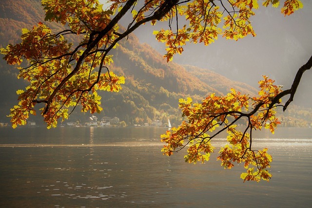 Slideshow image