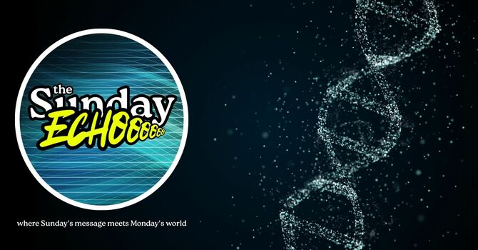 What is our DNA?
