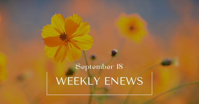 Weekly eNews: September 18, 2026 image