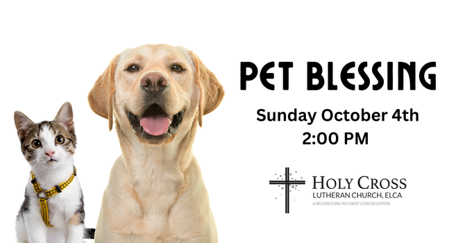 Pet Blessing