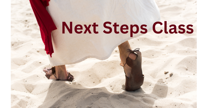 Next Steps & Faith 222 Classes