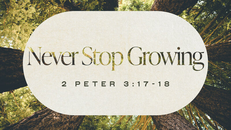 Never Stop Growing | 09.13.26 AM