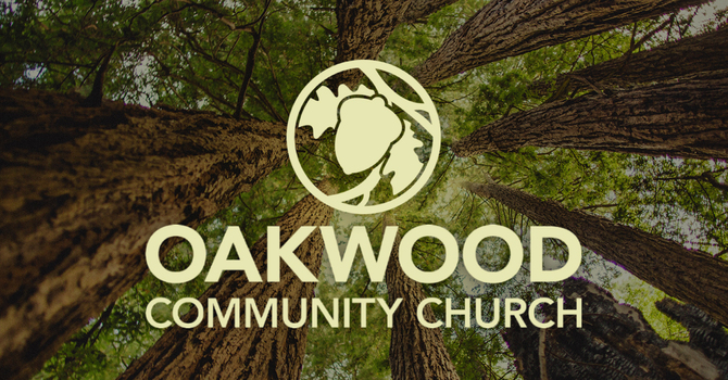 P.D. Weekly Email